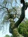 030508_tosse_Pdr_0055